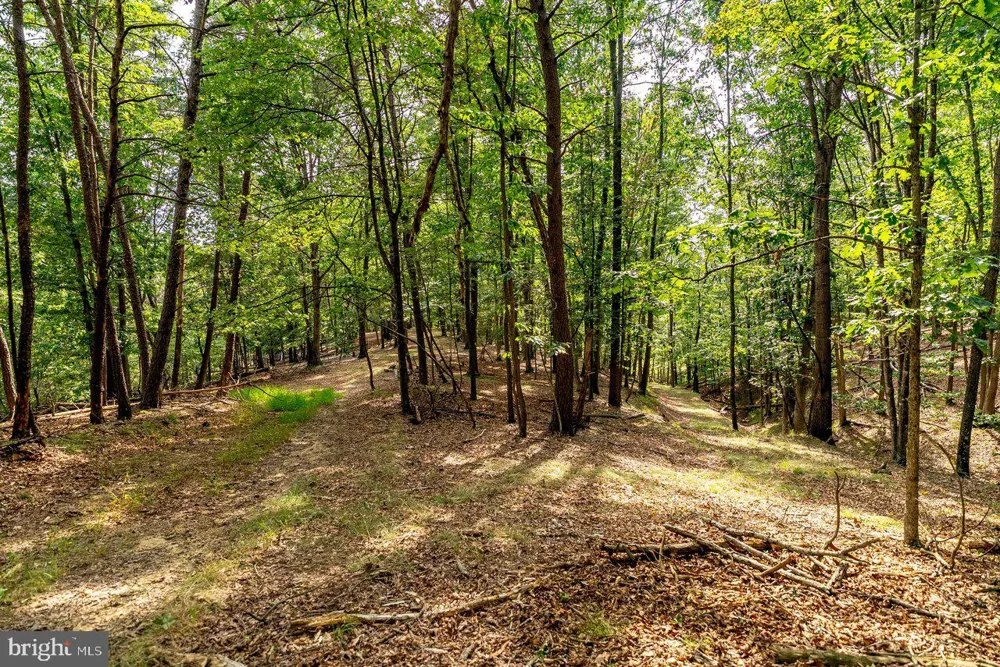 801 MOYERS LANE Mathias, WV 26812