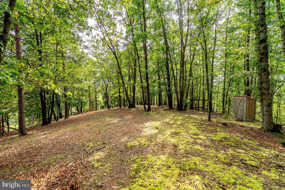 801 MOYERS LANE Mathias, WV 26812