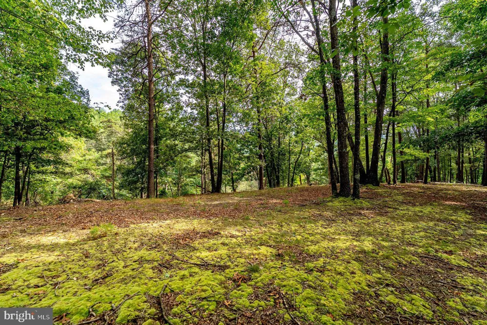801 MOYERS LANE Mathias, WV 26812