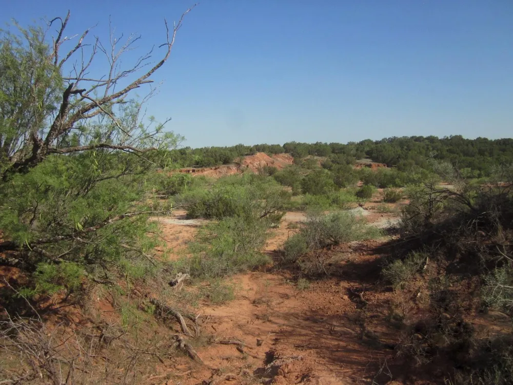 Buckle L Road Childress, TX 79201