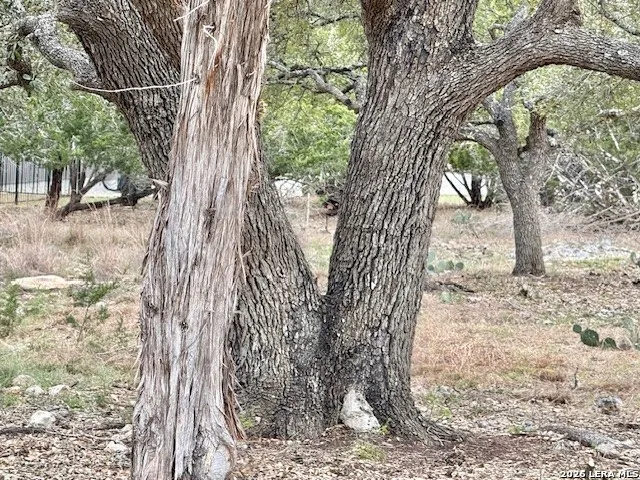 104 C Chisholm Blanco, TX 78606