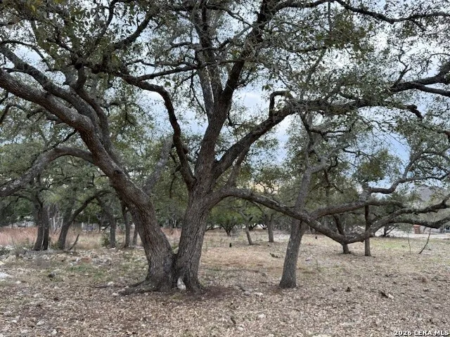 104 C Chisholm Blanco, TX 78606