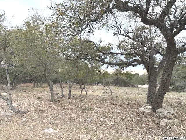104 C Chisholm Blanco, TX 78606