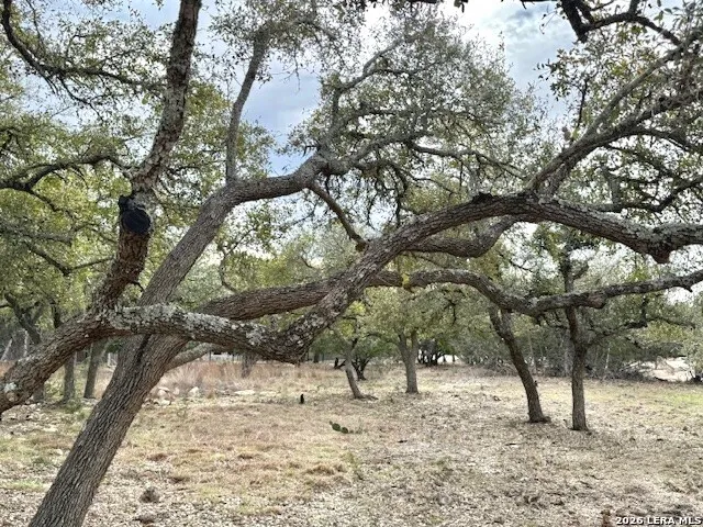 104 C Chisholm Blanco, TX 78606