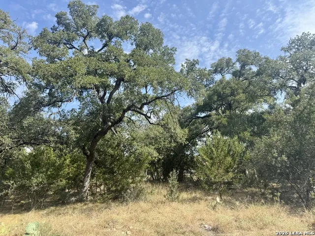 102 Denson Belk Blanco, TX 78606