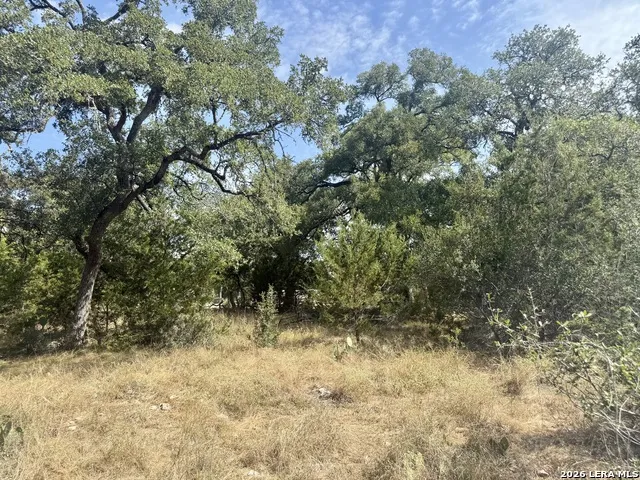 102 Denson Belk Blanco, TX 78606