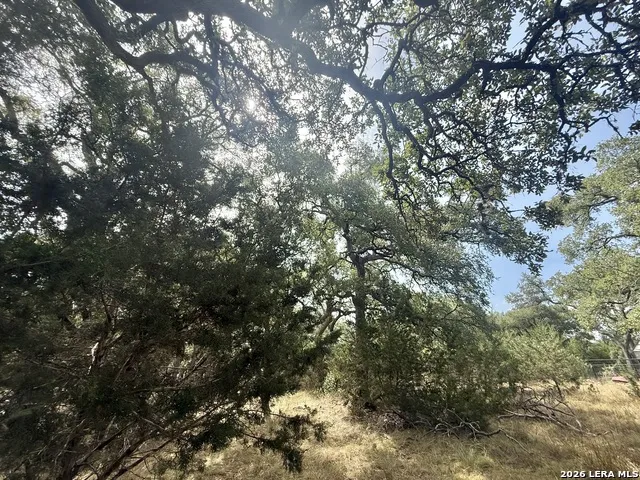 102 Denson Belk Blanco, TX 78606