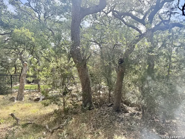 102 Denson Belk Blanco, TX 78606