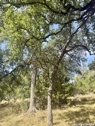 102 Denson Belk Blanco, TX 78606