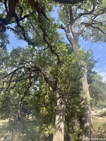 102 Denson Belk Blanco, TX 78606