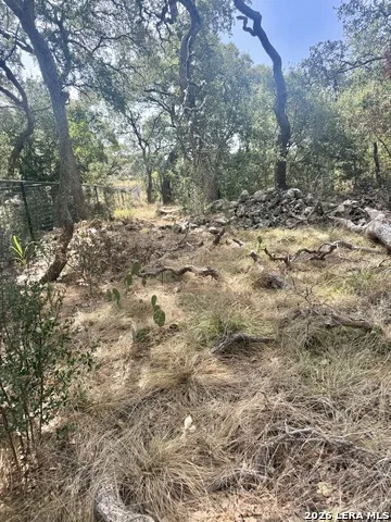 102 Denson Belk Blanco, TX 78606