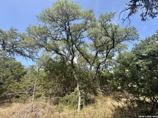 102 Denson Belk Blanco, TX 78606