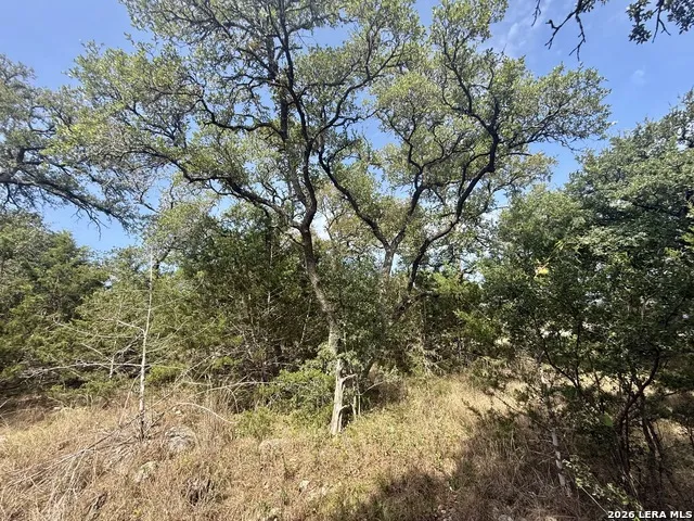 102 Denson Belk Blanco, TX 78606