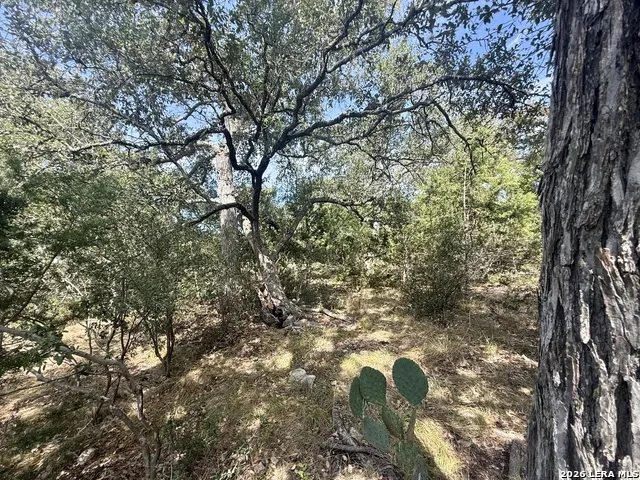 102 Denson Belk Blanco, TX 78606