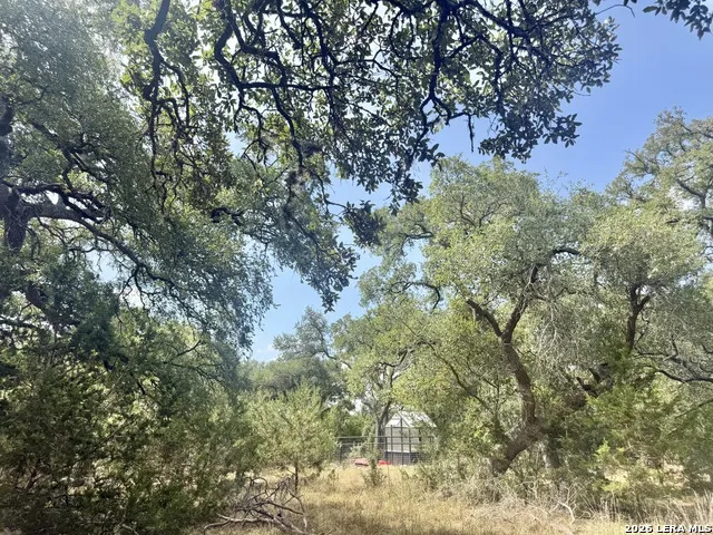 102 Denson Belk Blanco, TX 78606