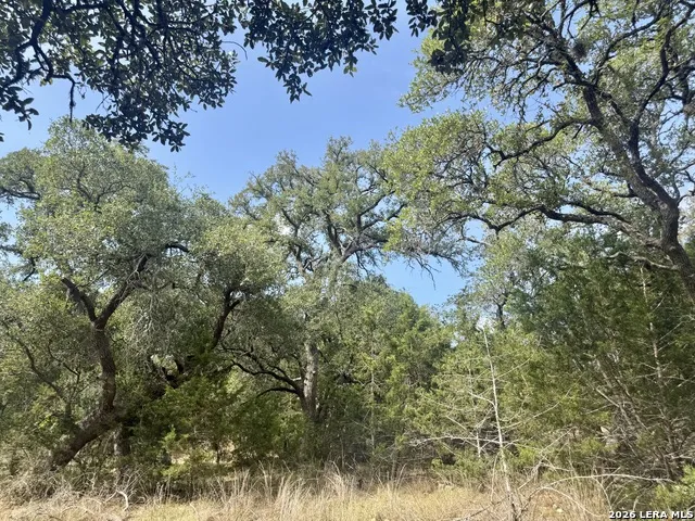 102 Denson Belk Blanco, TX 78606