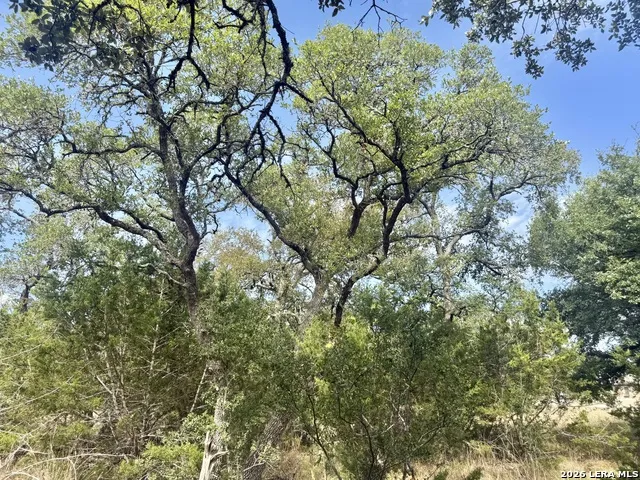 102 Denson Belk Blanco, TX 78606