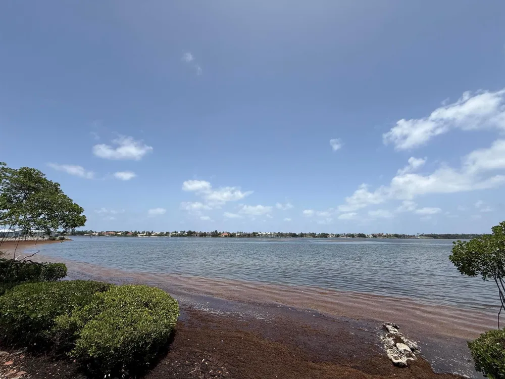 225 Lakeshore Drive Hypoluxo, FL 33462