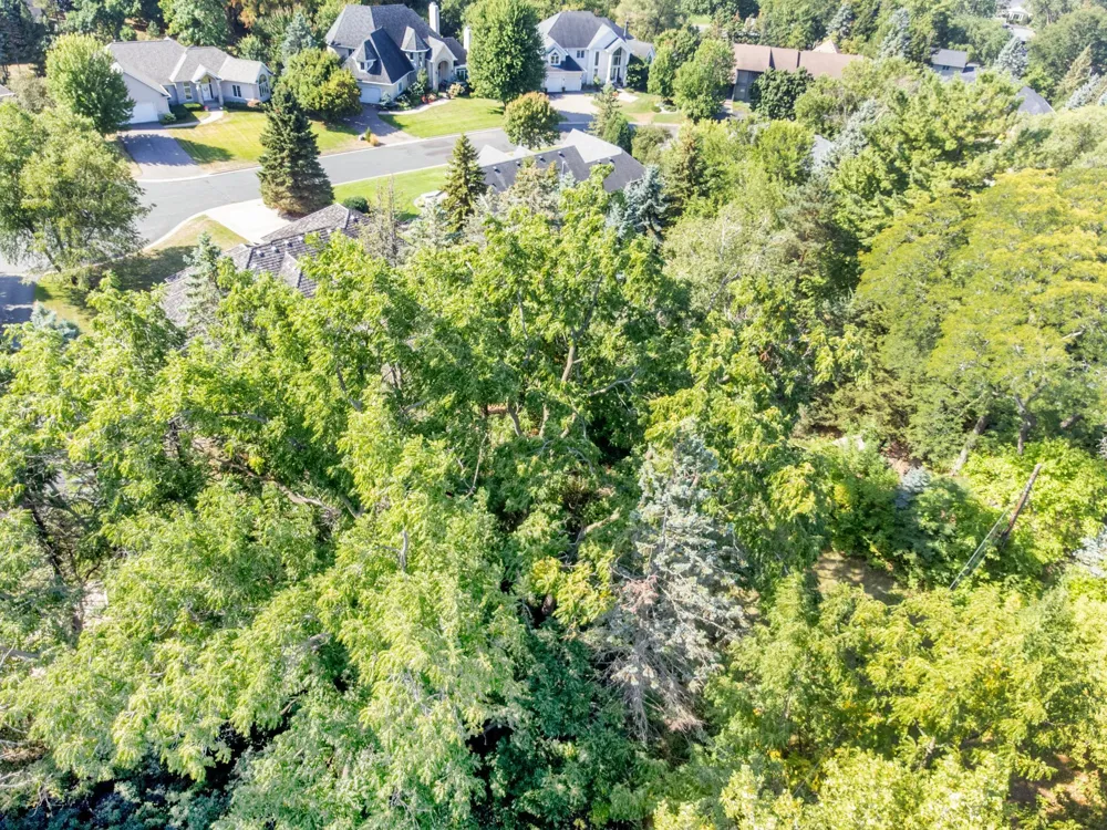 720 1st Ave Mendota Heights, MN 55118