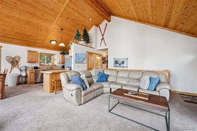 585 Miners Way Fairplay, CO 80440