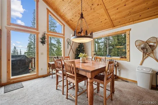 585 Miners Way Fairplay, CO 80440