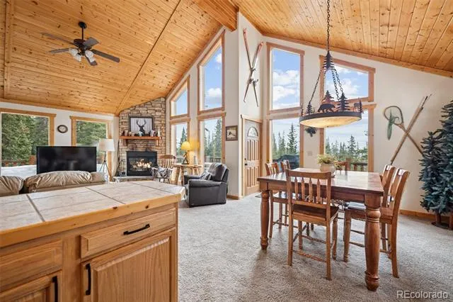585 Miners Way Fairplay, CO 80440