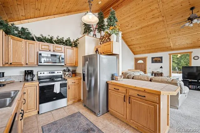 585 Miners Way Fairplay, CO 80440
