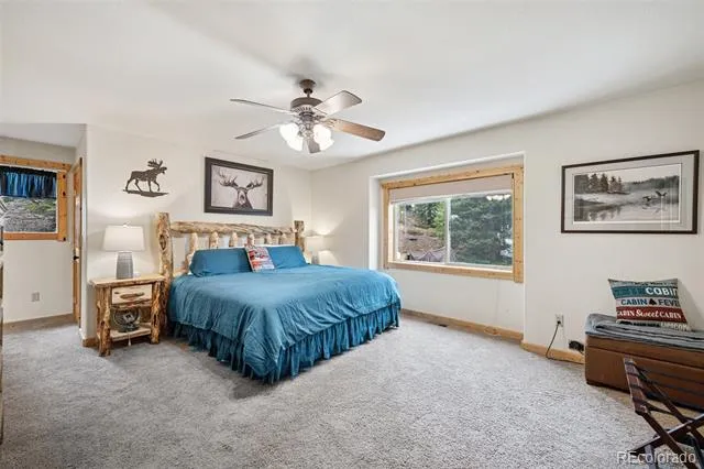 585 Miners Way Fairplay, CO 80440