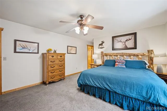 585 Miners Way Fairplay, CO 80440