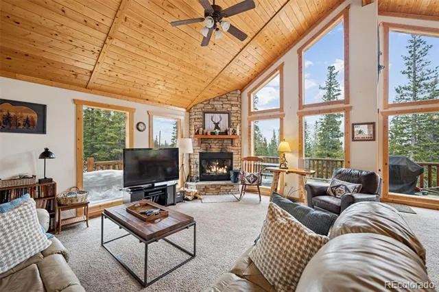 585 Miners Way Fairplay, CO 80440
