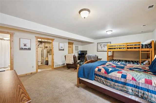 585 Miners Way Fairplay, CO 80440