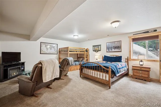 585 Miners Way Fairplay, CO 80440