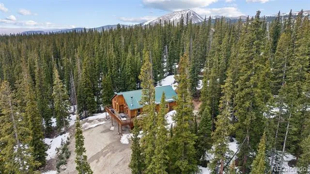 585 Miners Way Fairplay, CO 80440