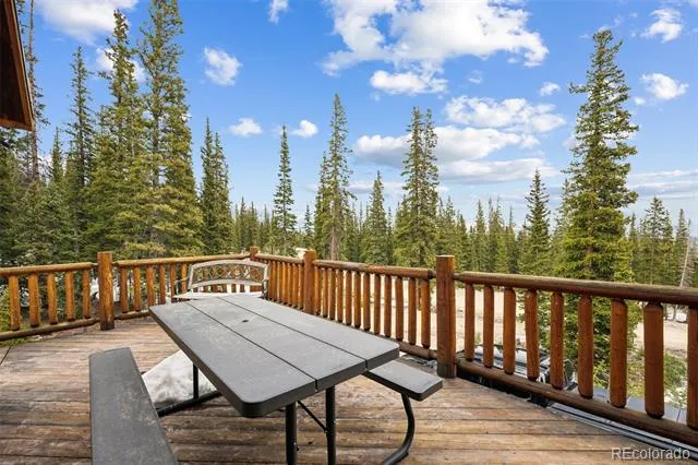 585 Miners Way Fairplay, CO 80440