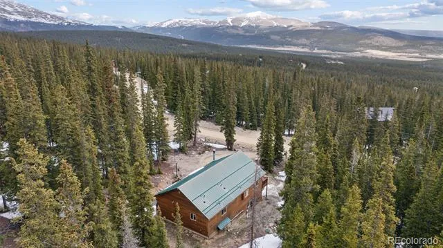 585 Miners Way Fairplay, CO 80440