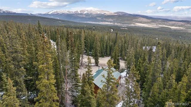 585 Miners Way Fairplay, CO 80440