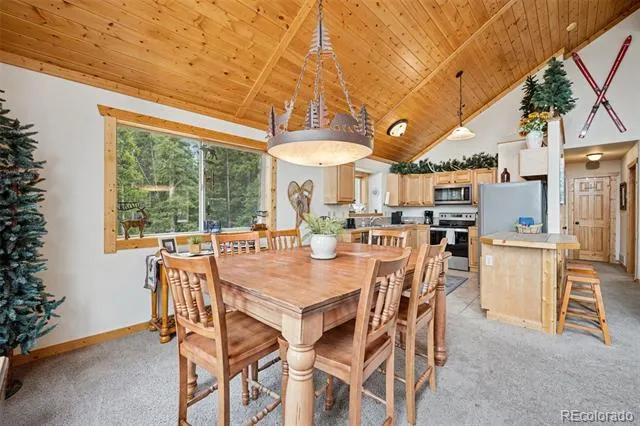 585 Miners Way Fairplay, CO 80440