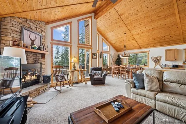585 Miners Way Fairplay, CO 80440