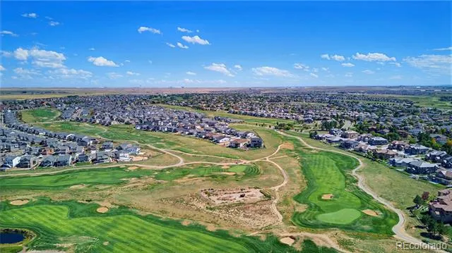 15979 E 113th Court Commerce City, CO 80022