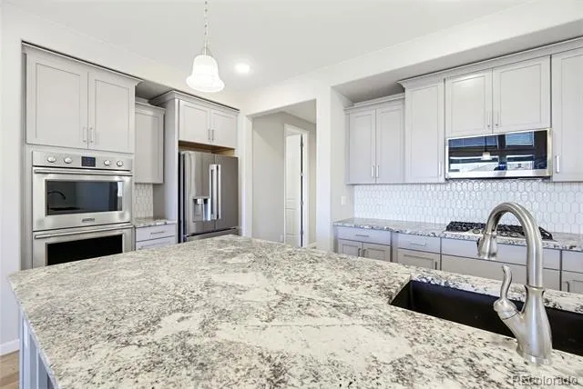 15979 E 113th Court Commerce City, CO 80022