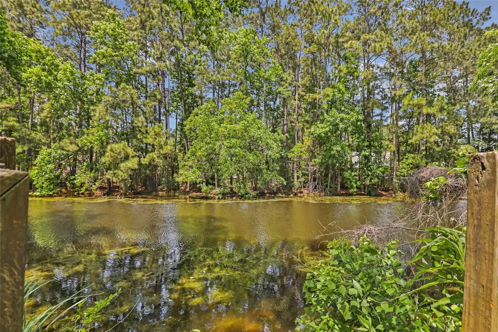 2543 Fountain View Street New Caney, TX 77357