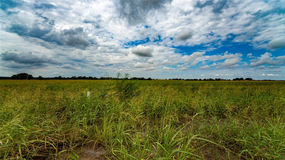 FM 3061 #B Thorndale, TX 76577