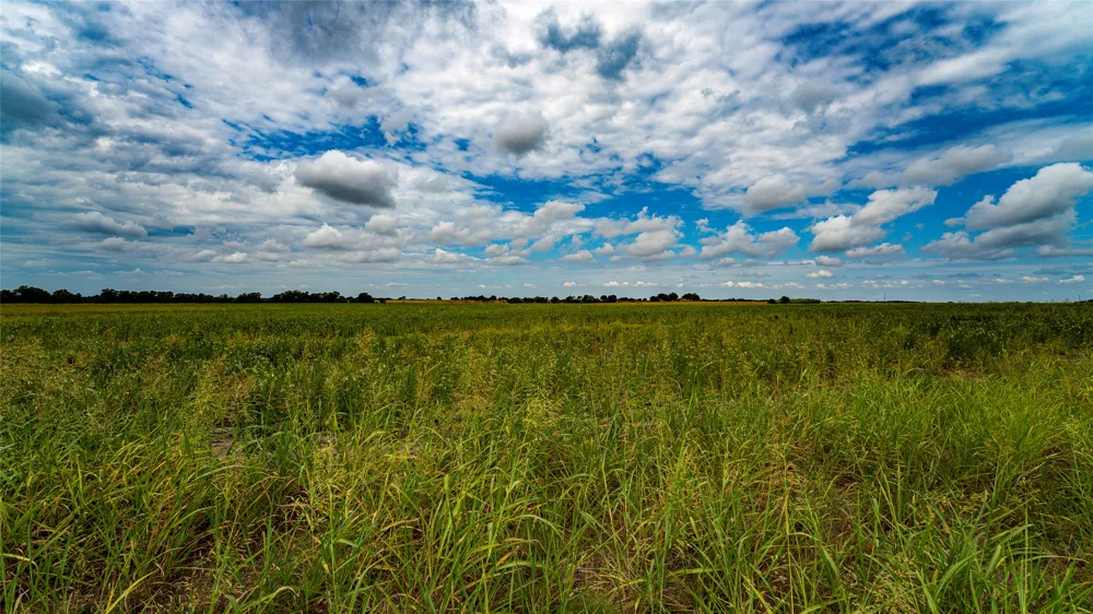 FM 3061 #B Thorndale, TX 76577