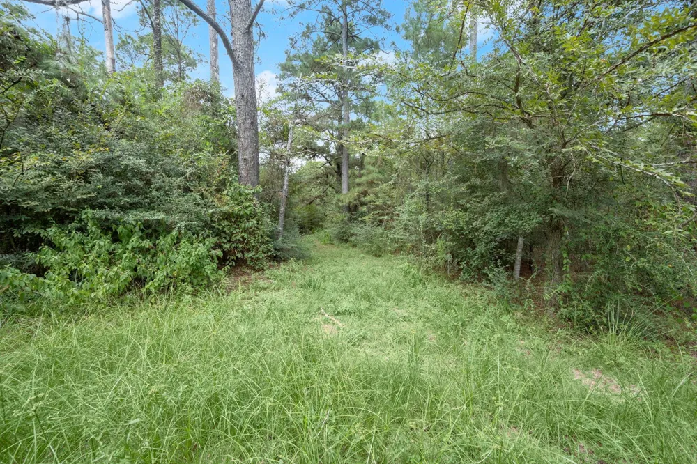Long Bow Hockley, TX 77447