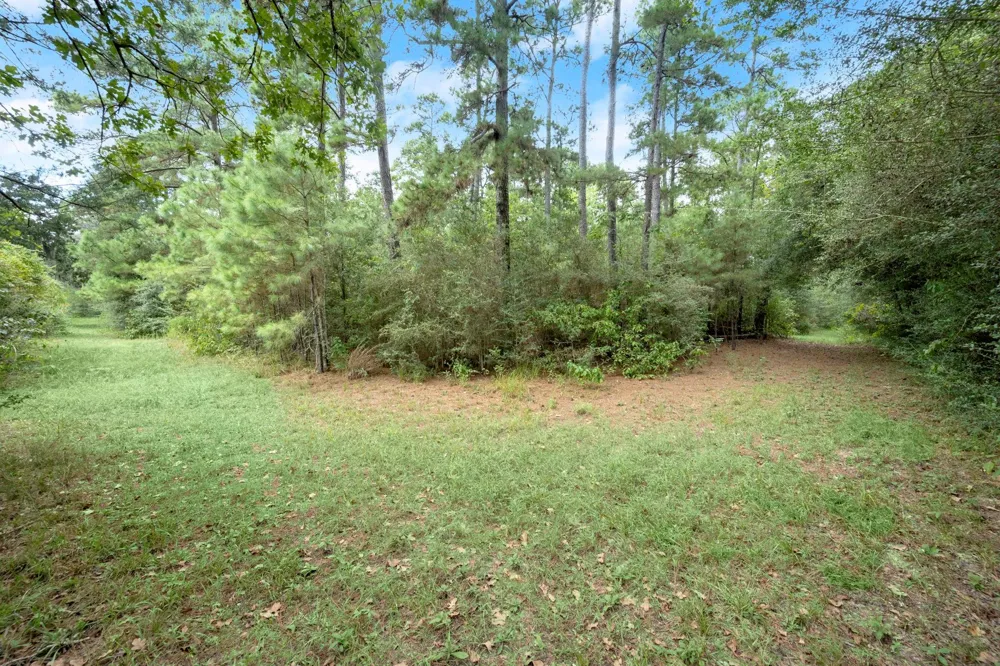 Long Bow Hockley, TX 77447