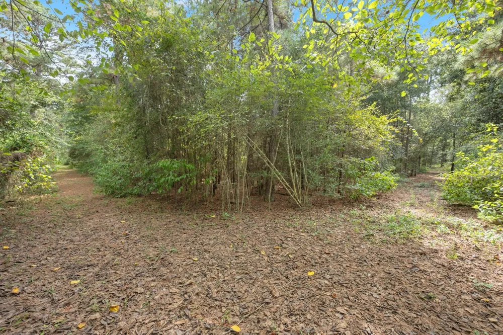 Long Bow Hockley, TX 77447