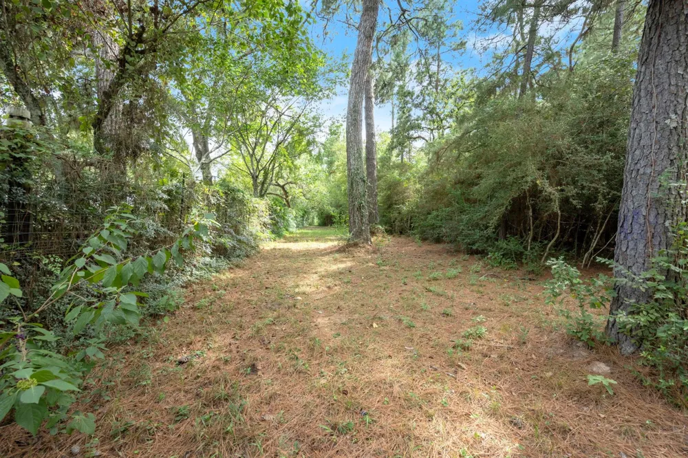 Long Bow Hockley, TX 77447