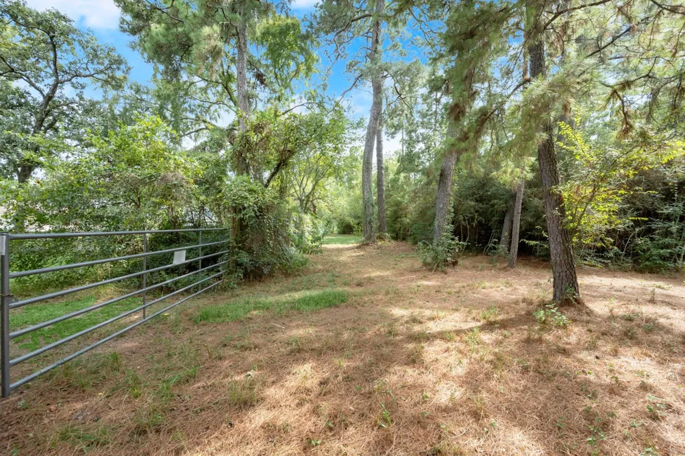 Long Bow Hockley, TX 77447