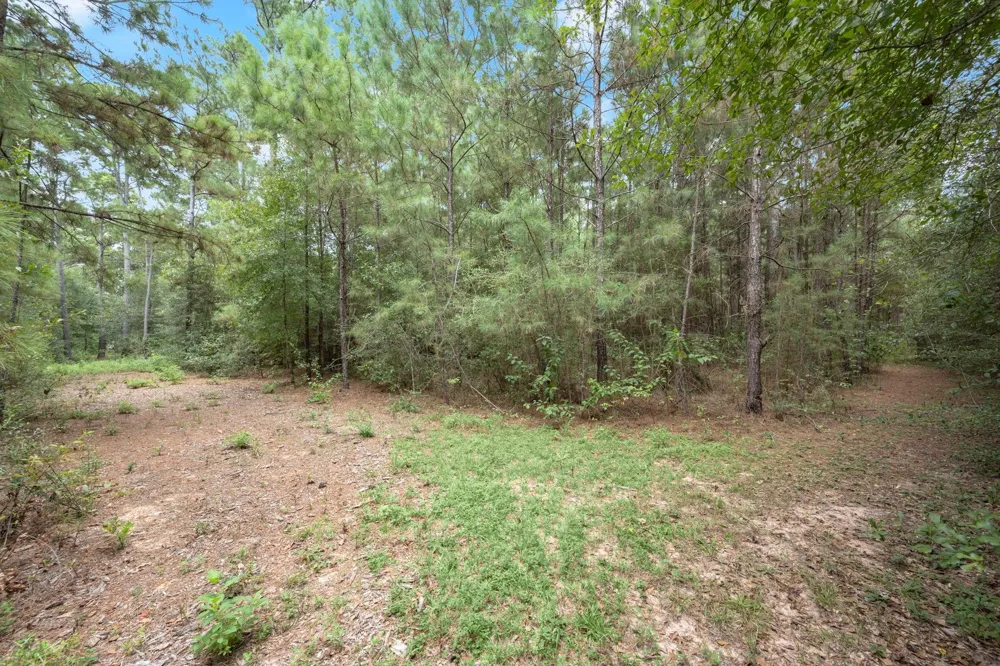 Long Bow Hockley, TX 77447