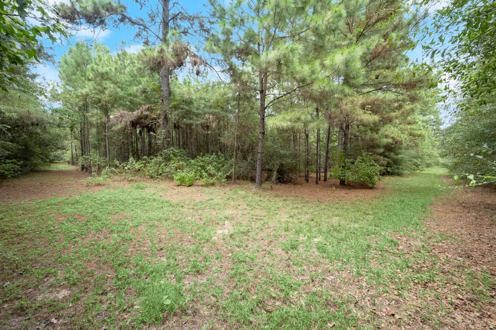 Long Bow Hockley, TX 77447